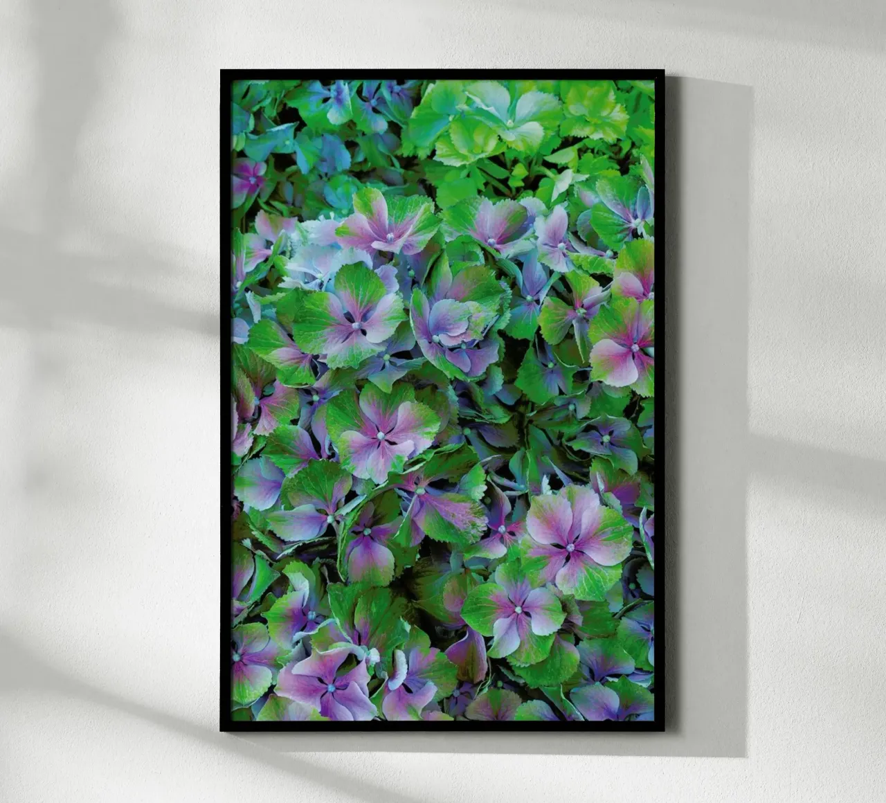 Hortensia poster da Curious Collections by Marielle Leenders