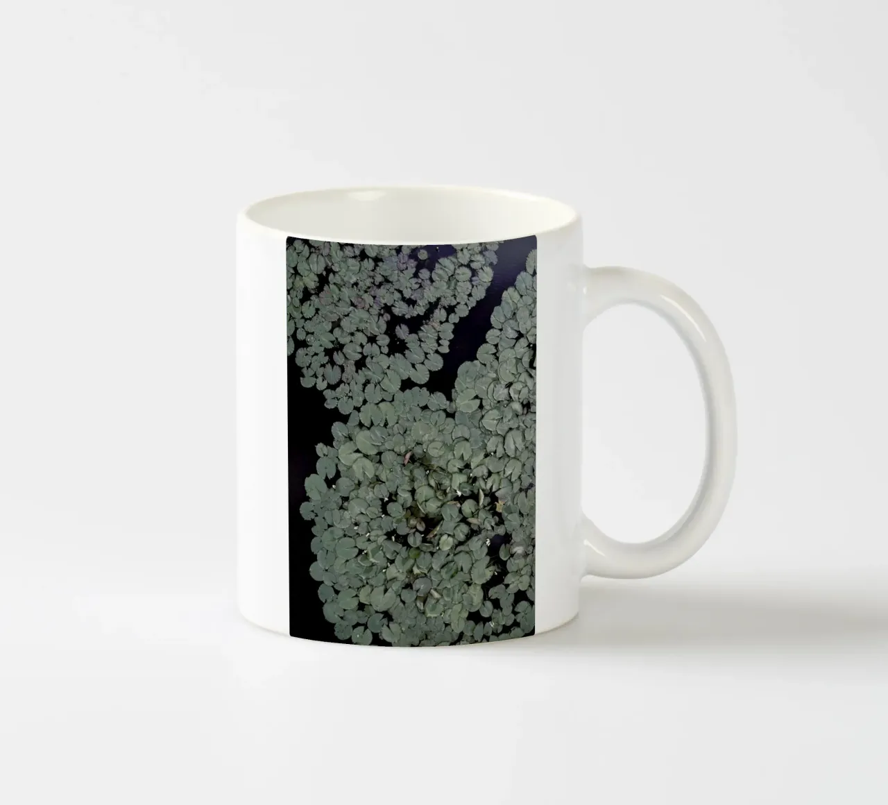 Water Lily Garden tazza in ceramica da Studio Nahili