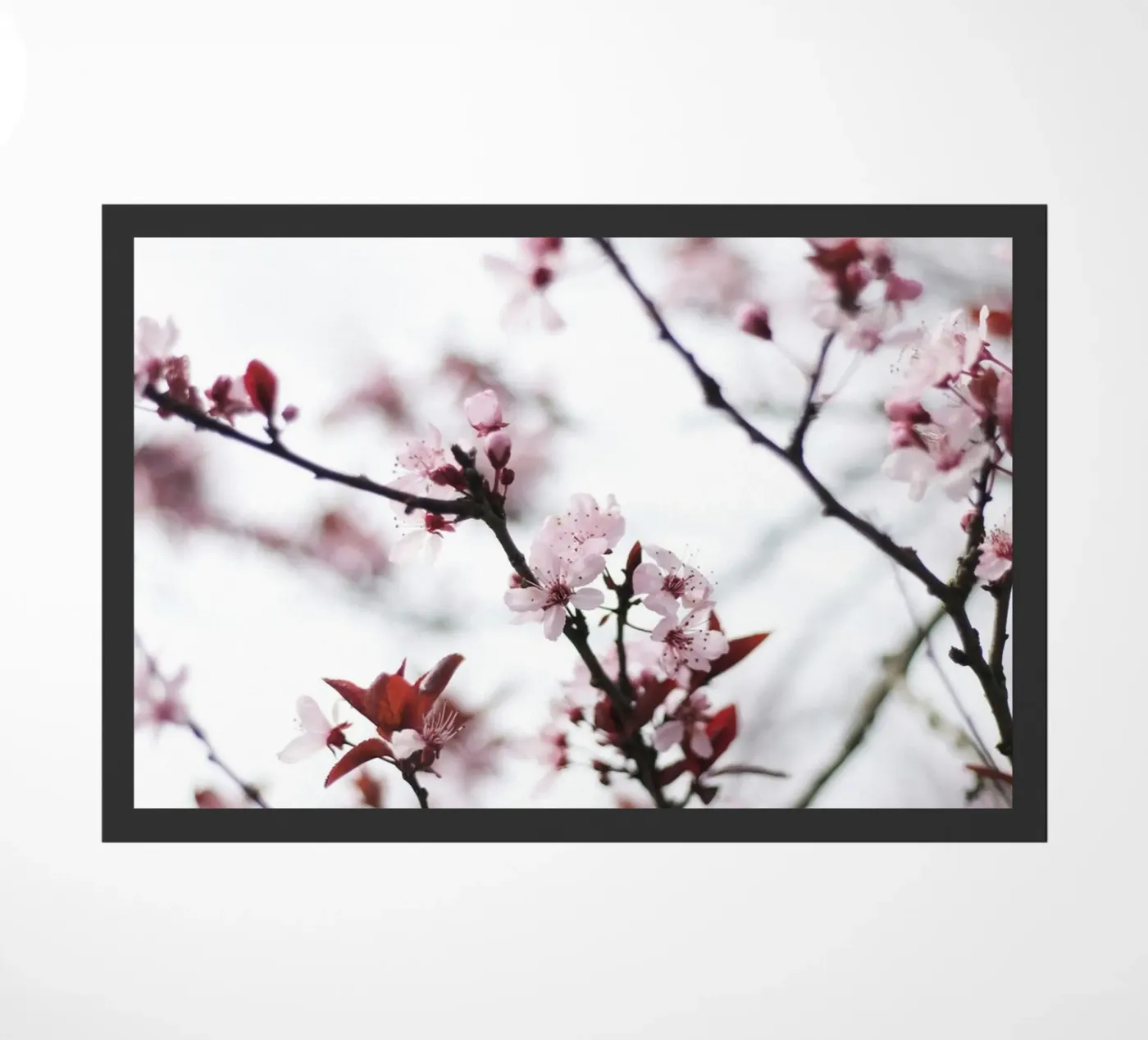 cherry blossoms spring doormat by Earthly Visions