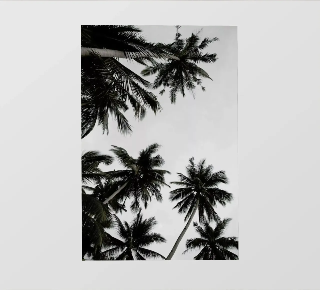 The Holiday View pellicola backlit da Studio Nahili
