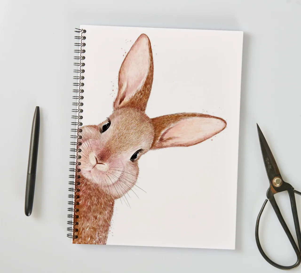 Peeping Rabbit spiral notebook by lennytravers