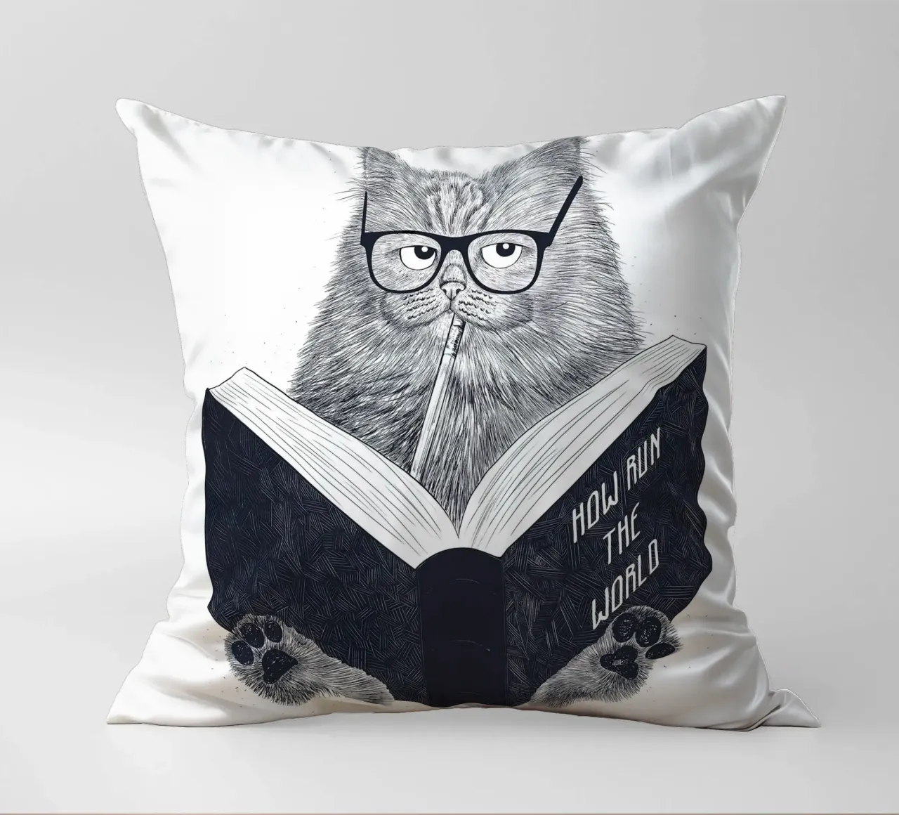 Reading Cat cuscino da lennytravers