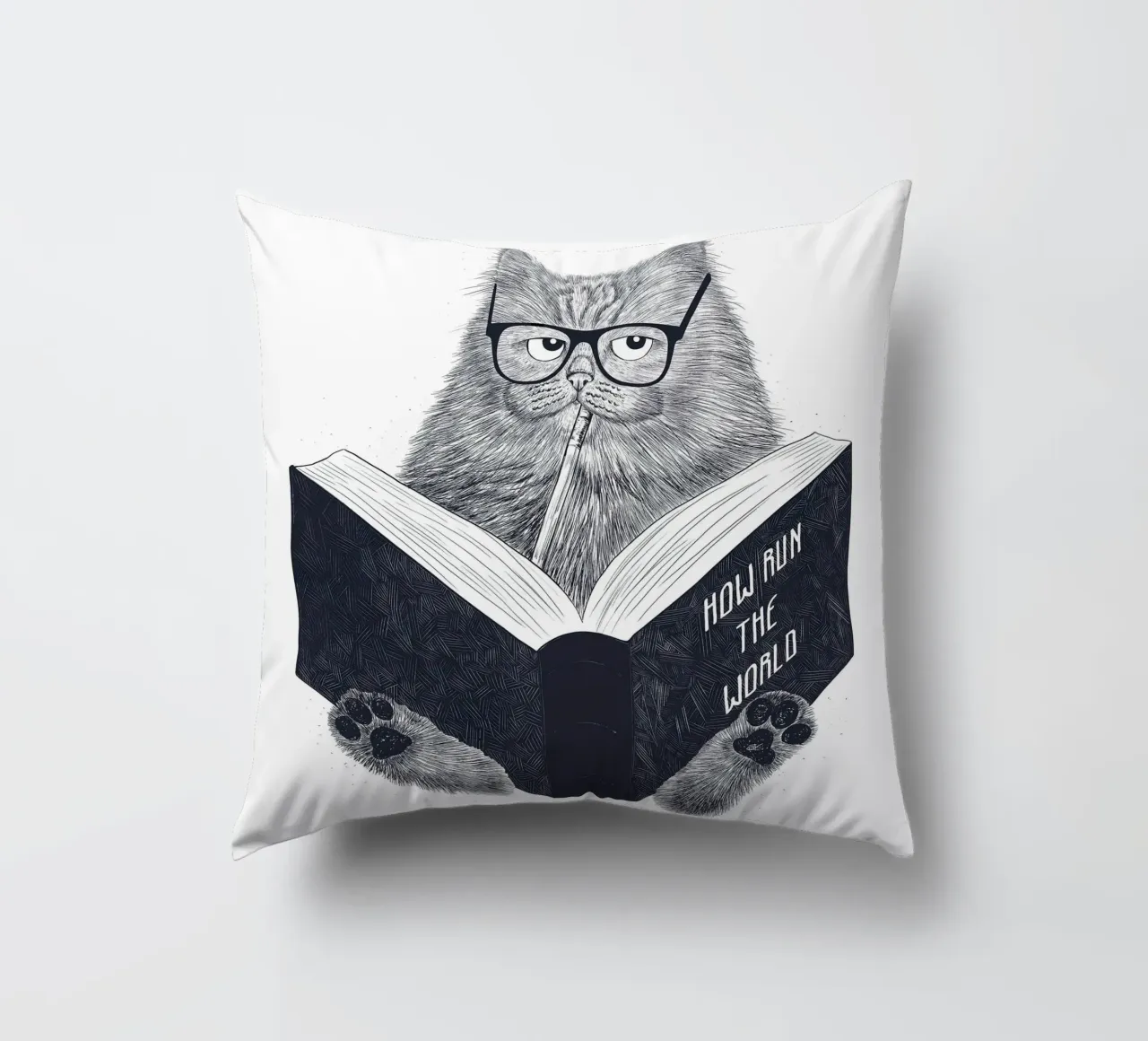 Reading Cat cuscino da lennytravers