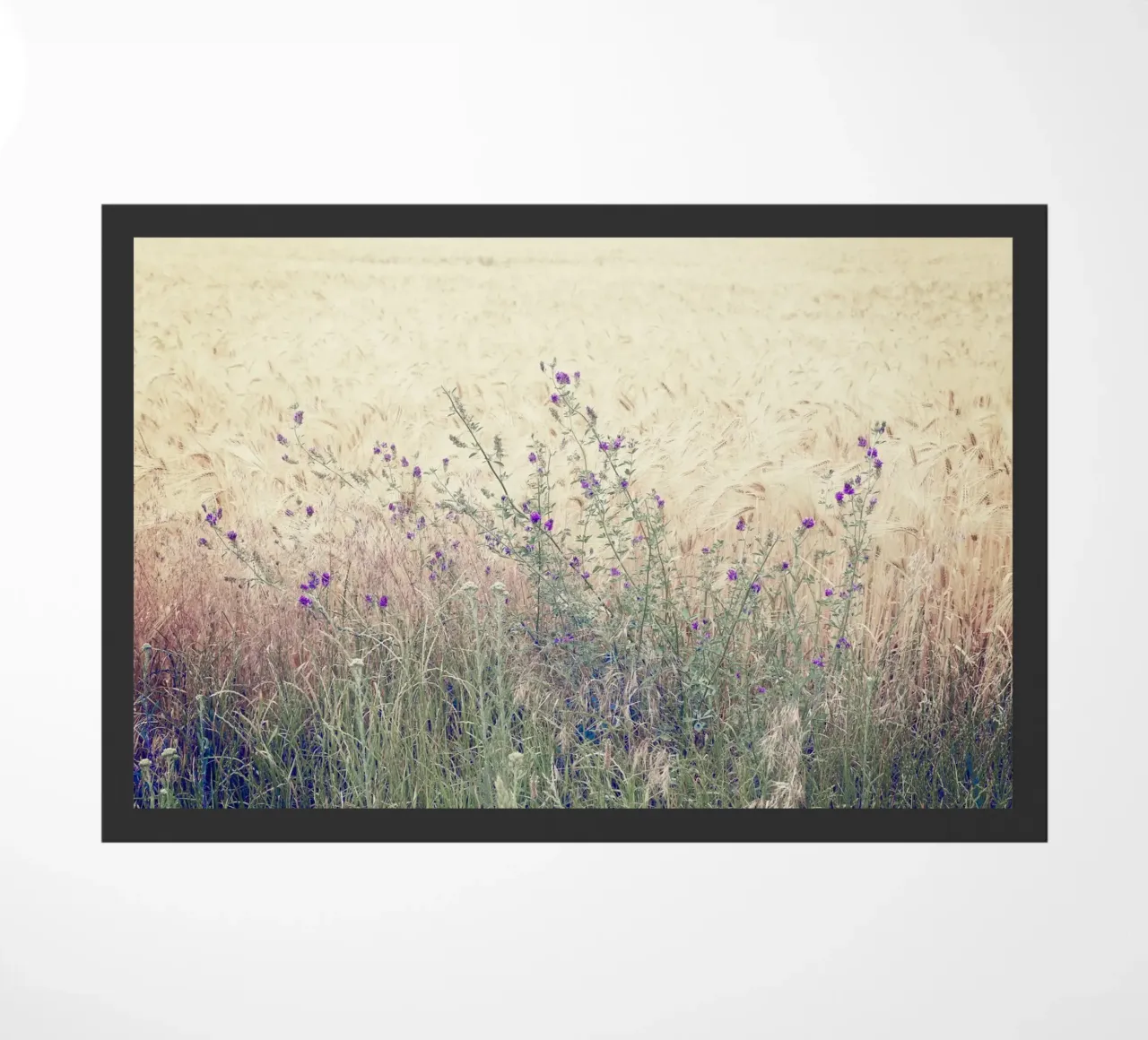 Fiori viola in un campo di primavera zerbino da KISSA STUDIO