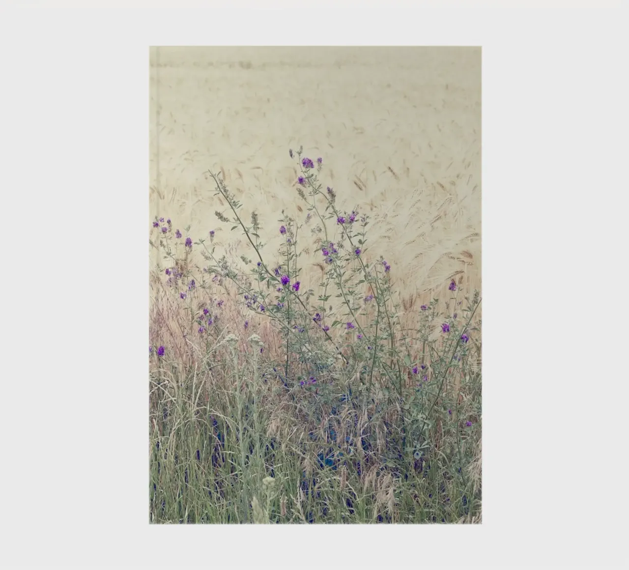Purple Flowers in Spring Field notebook by KISSA STUDIO