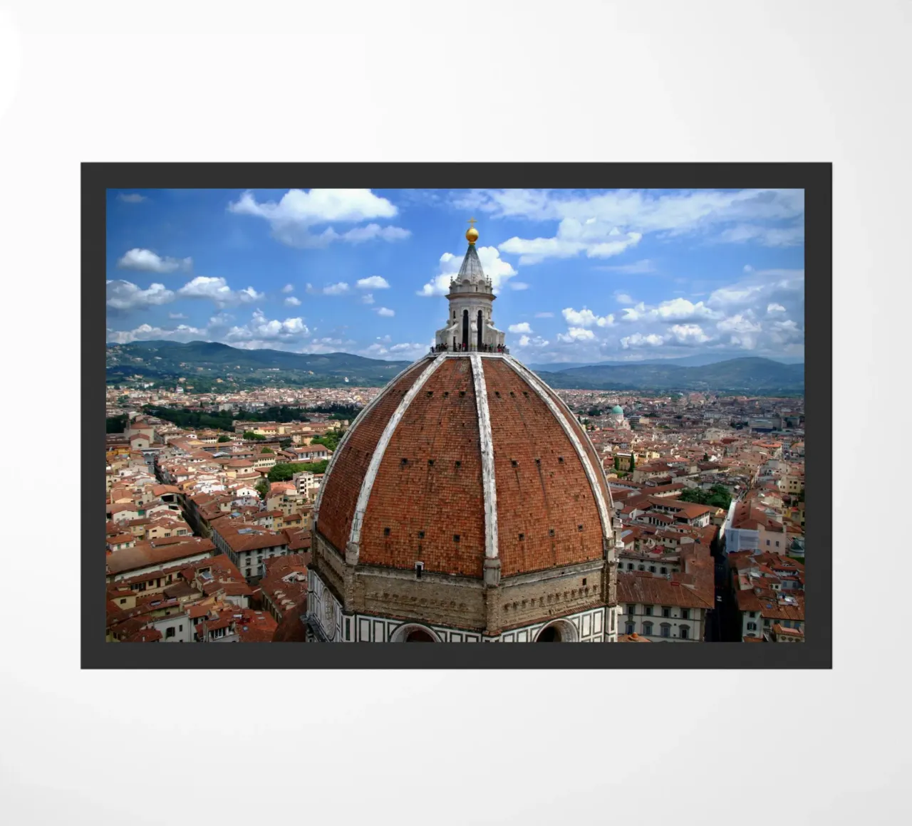 Renaissance Sky zerbino da zenitt