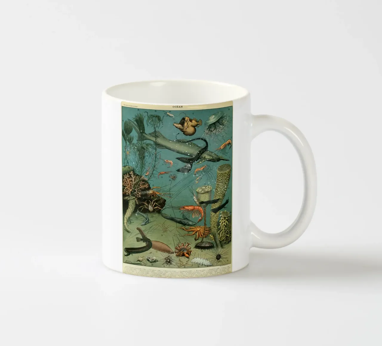 squalo polpo calamaro alghe tazza in ceramica da Graham Robertson