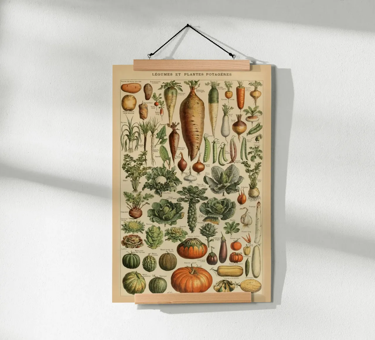 ortaggi a radice carote ravanelli poster da Graham Robertson