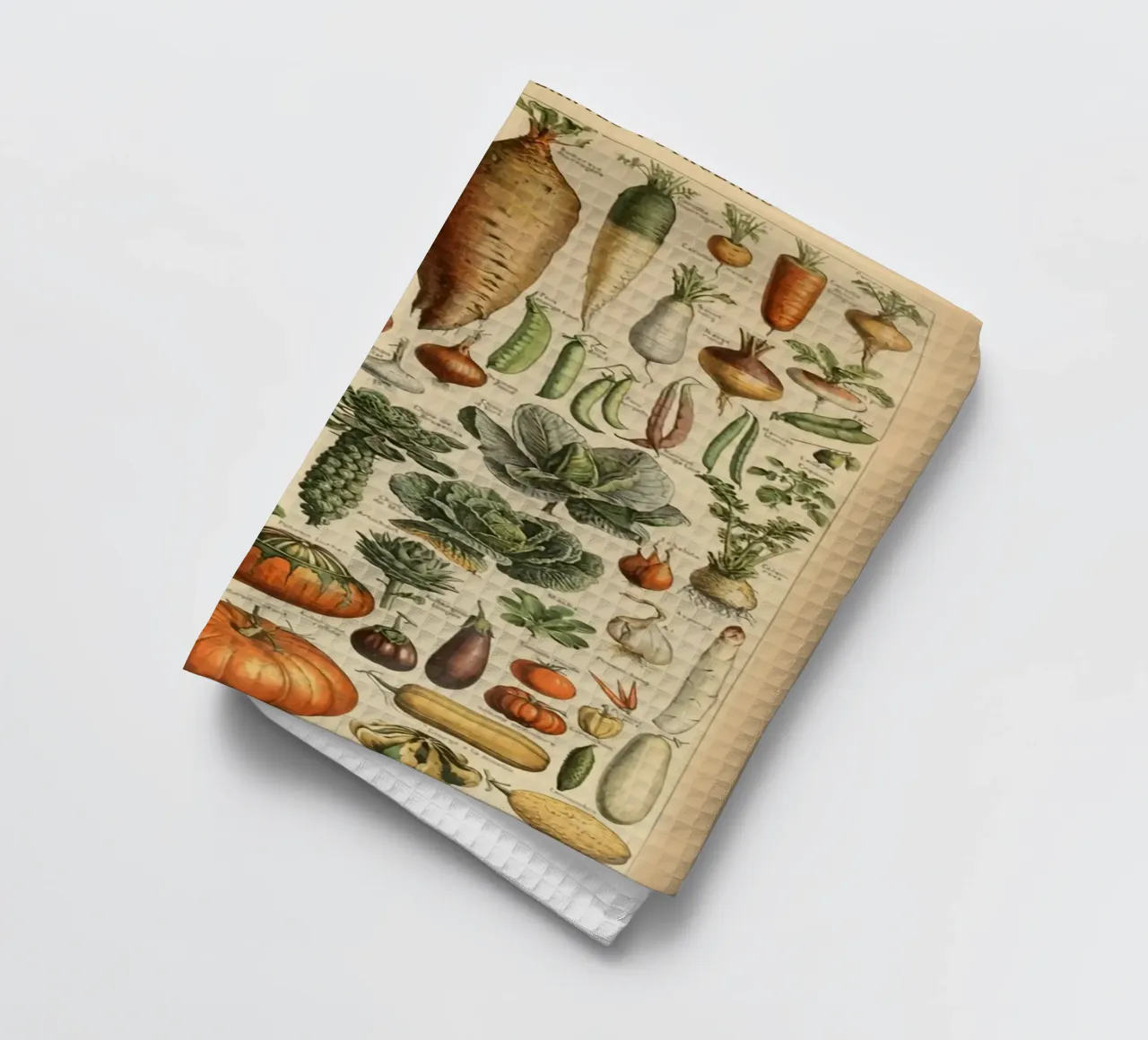 ortaggi a radice carote ravanelli canovaccio da cucina da Graham Robertson