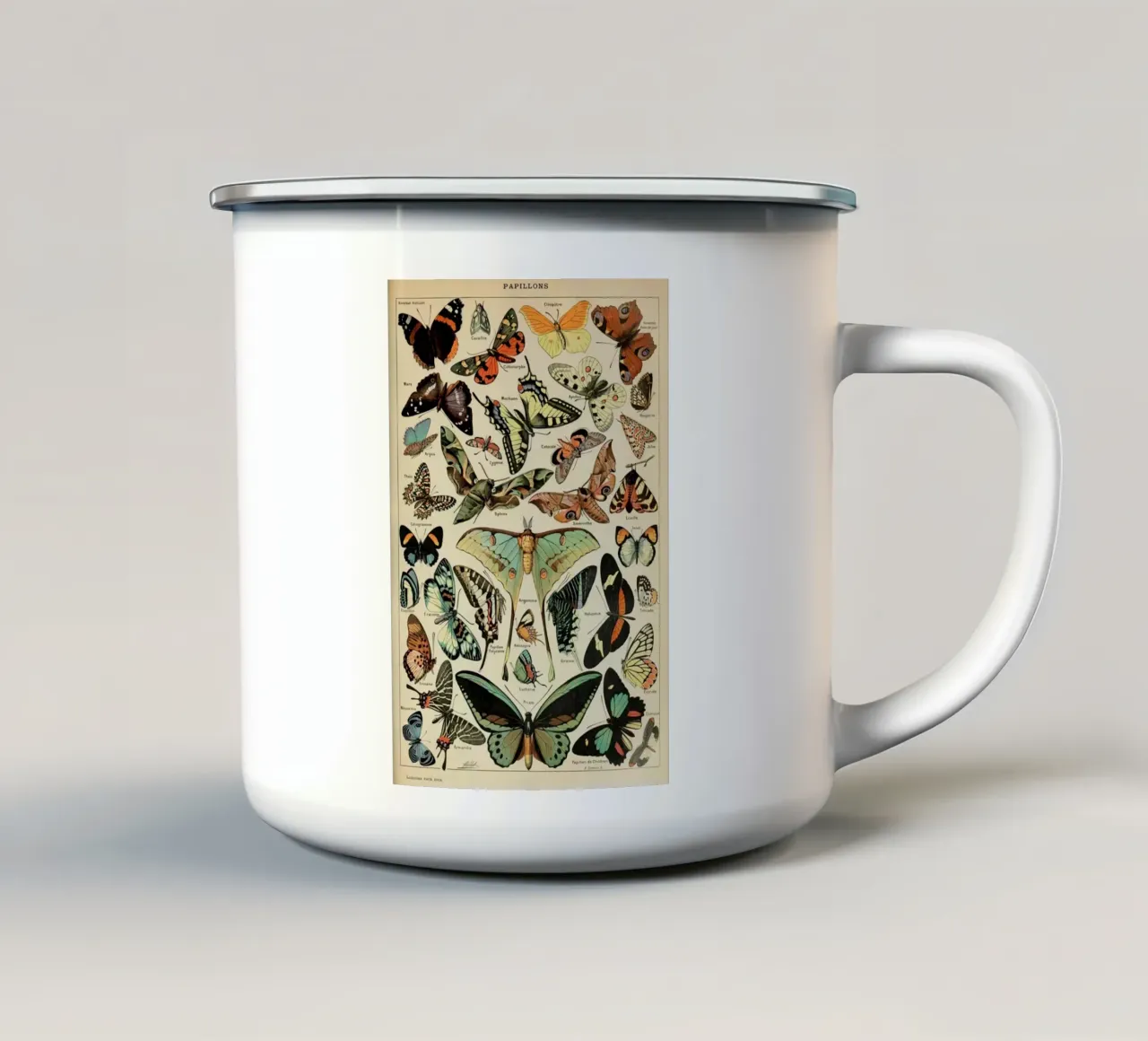 farfalle insetti falene colorate tazza in smalto da Graham Robertson