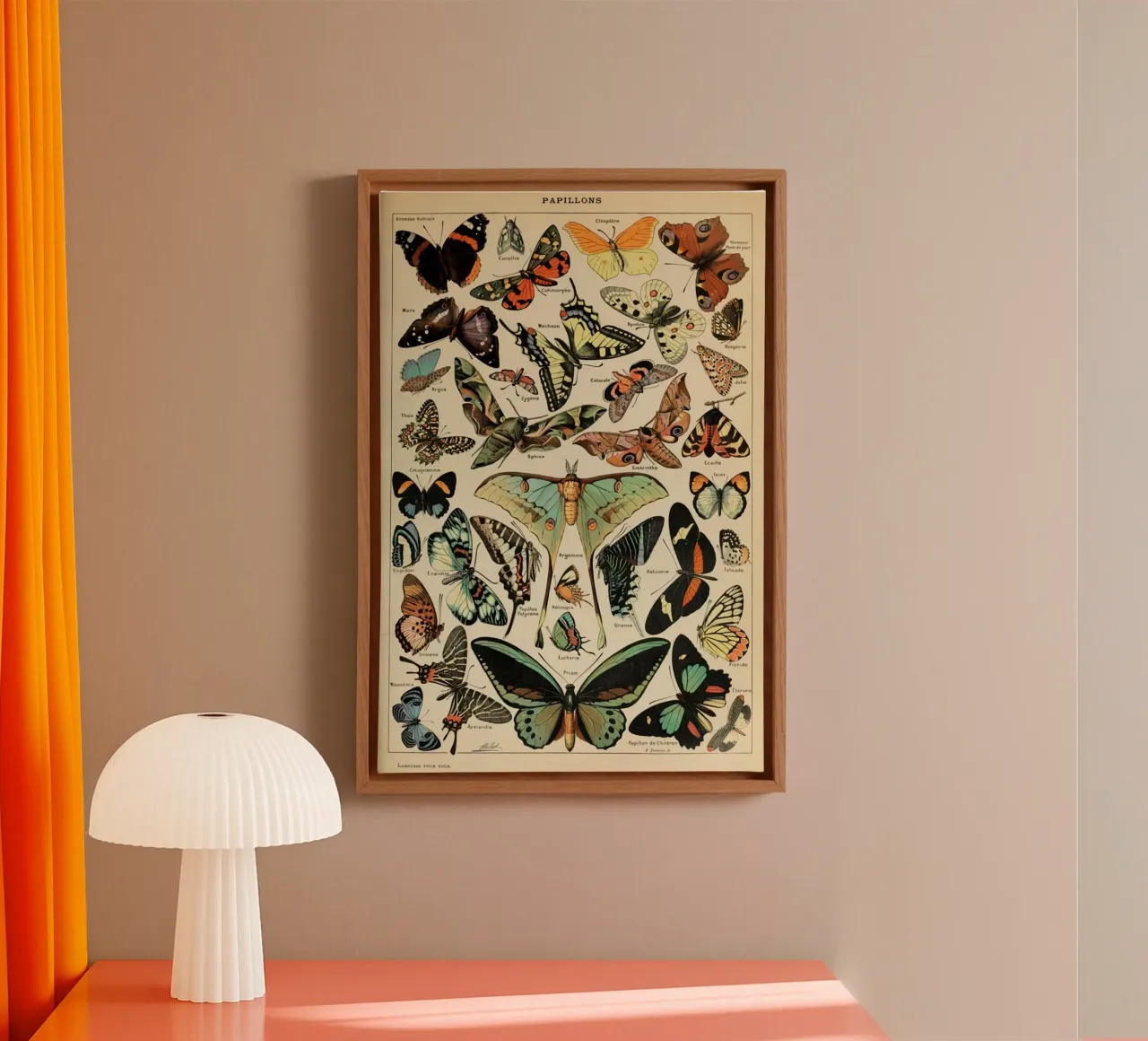 vlinders insecten motten kleurrijk canvas met Baklijst van Graham Robertson