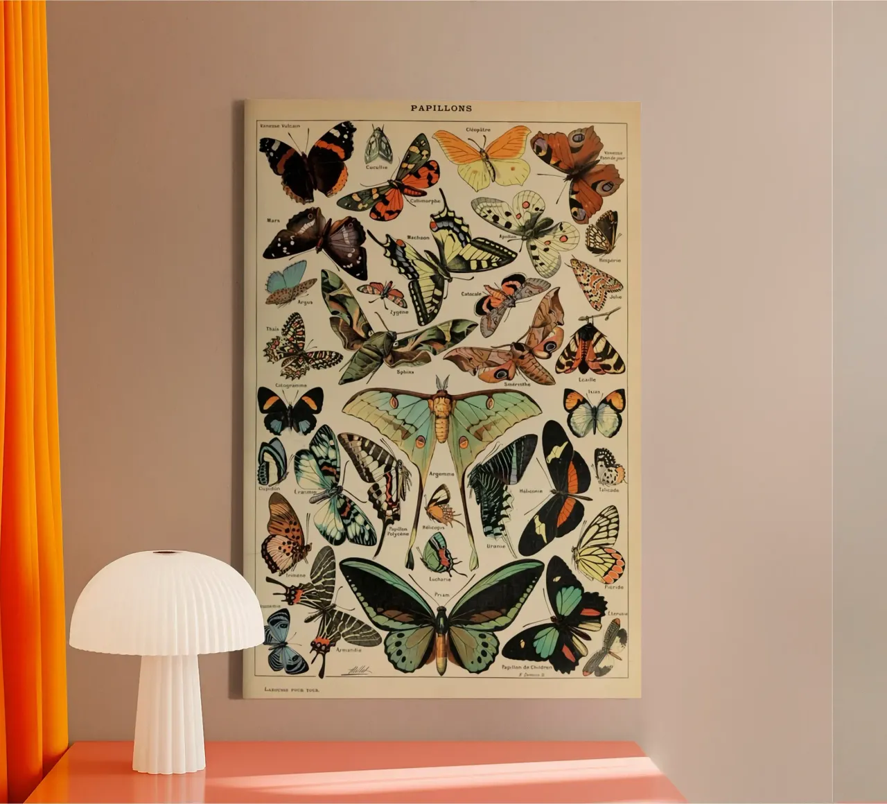 vlinders insecten motten kleurrijk canvas met Baklijst van Graham Robertson