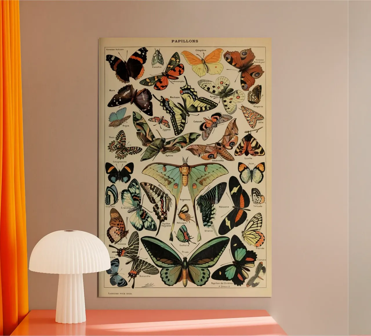 vlinders insecten motten kleurrijk poster van Graham Robertson