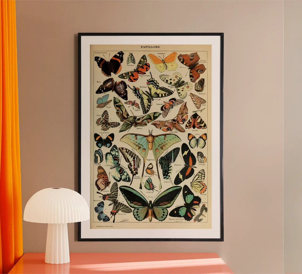 vlinders insecten motten kleurrijk poster van Graham Robertson