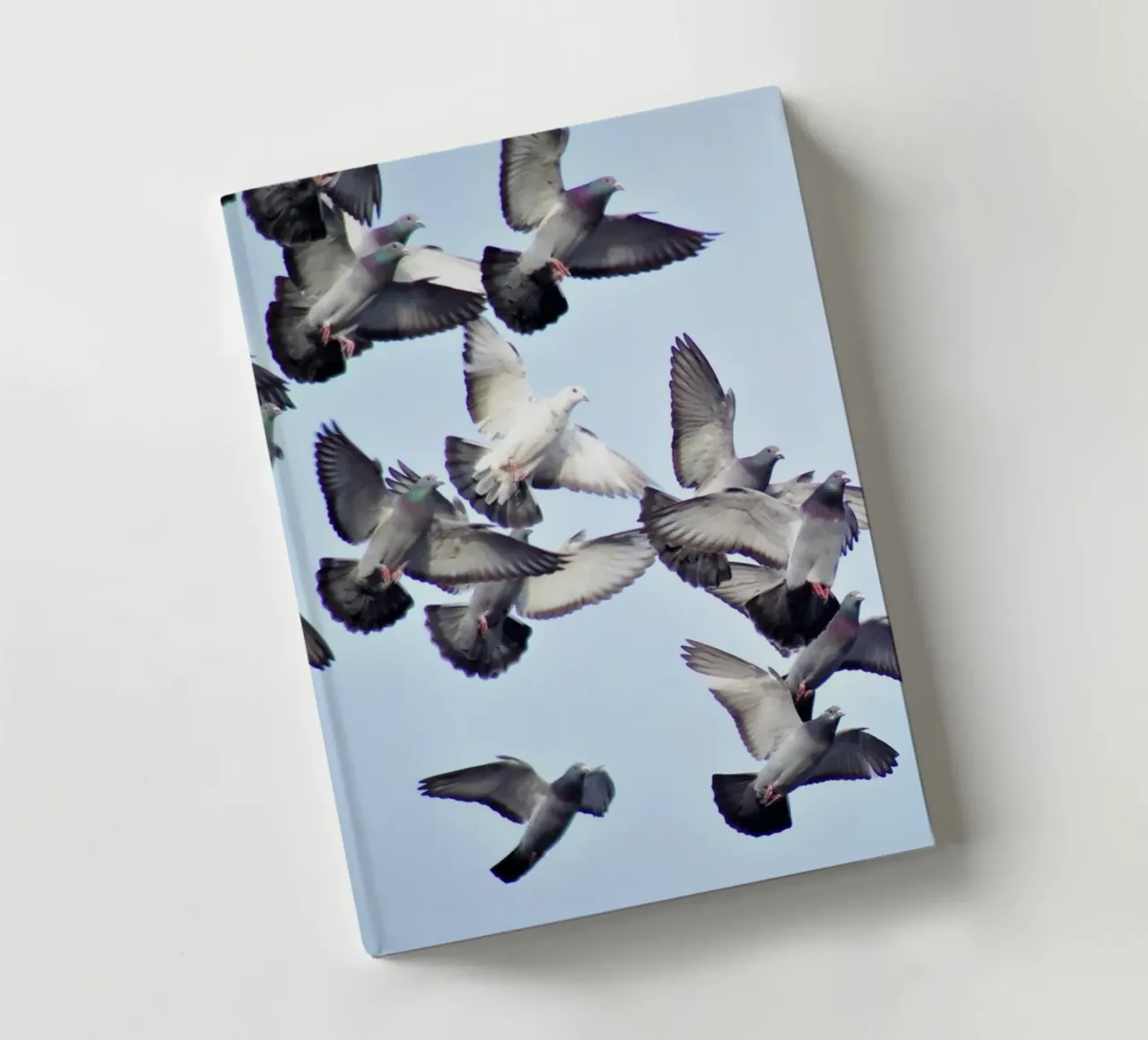 Urban Flight notebook by zenitt