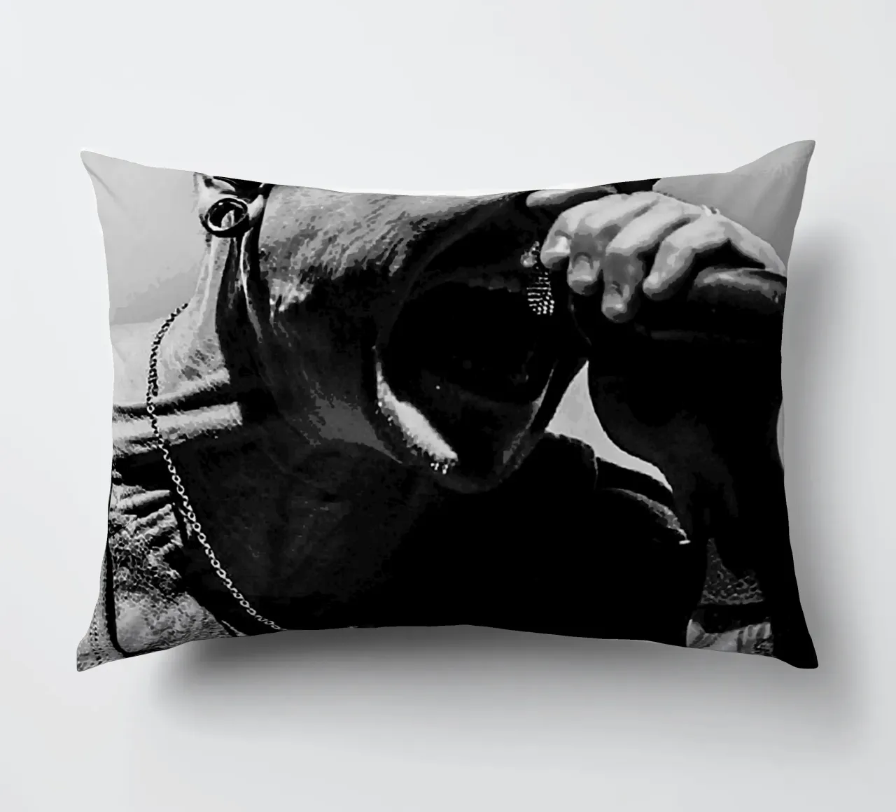 Le groupe Twenty One Pilots coussin de vanhesling