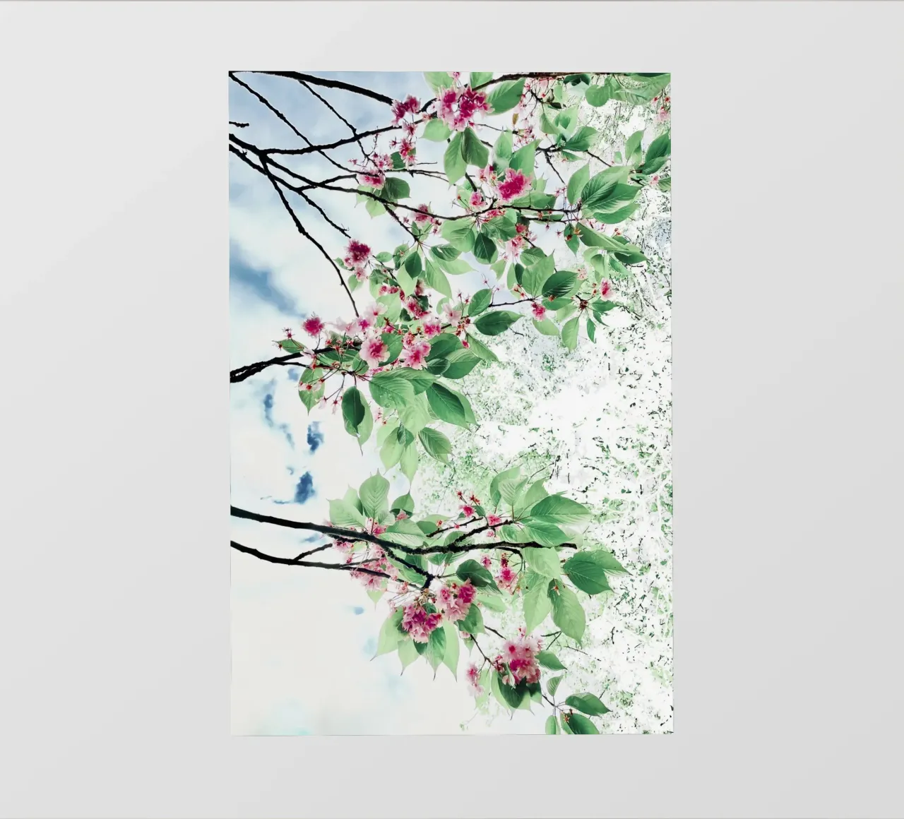 SAKURA - Fiore di ciliegio telo in pvc da KISSA STUDIO
