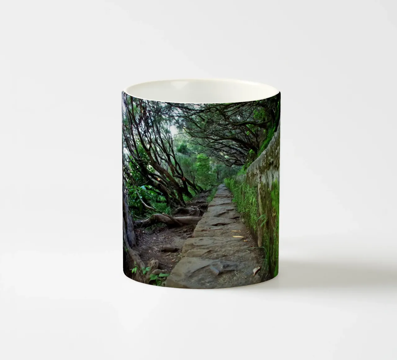 The Ancient Path tazza in ceramica da zenitt