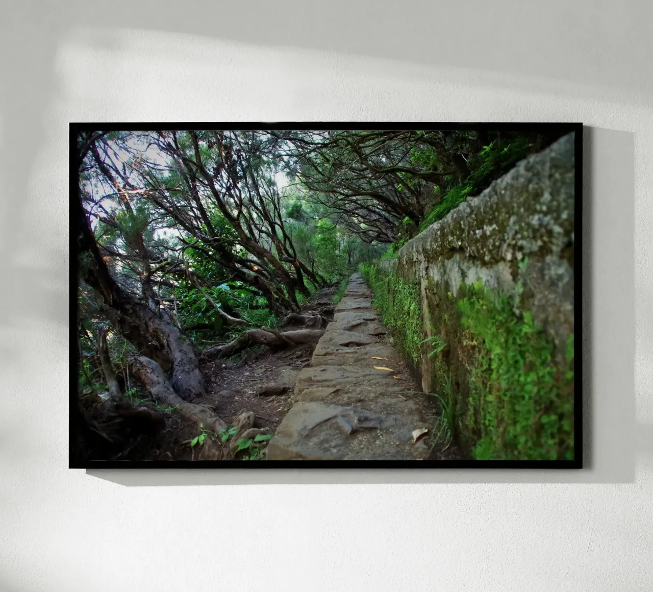 The Ancient Path poster da zenitt