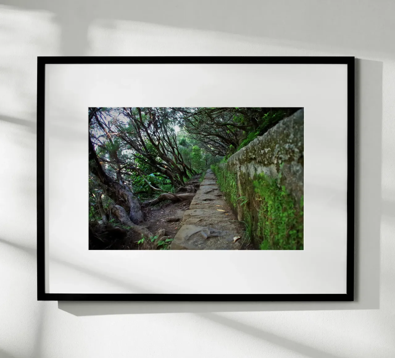 The Ancient Path poster da zenitt