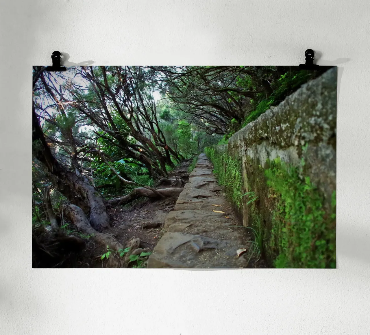 The Ancient Path poster da zenitt