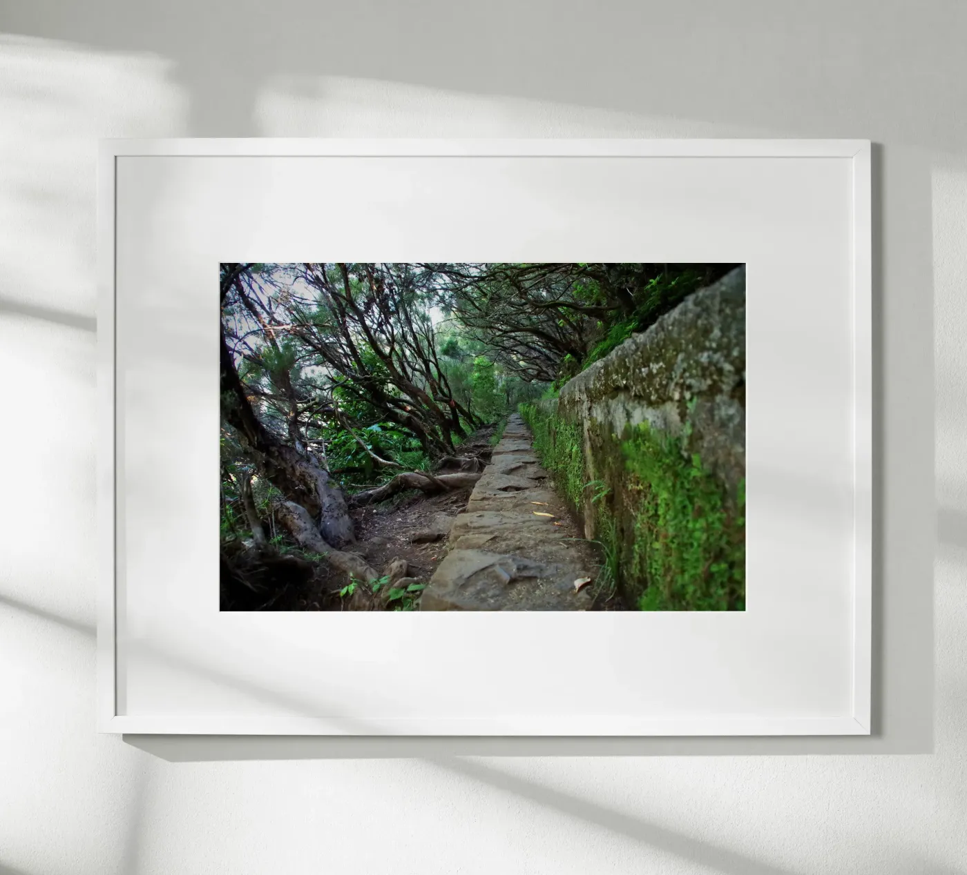 The Ancient Path poster da zenitt