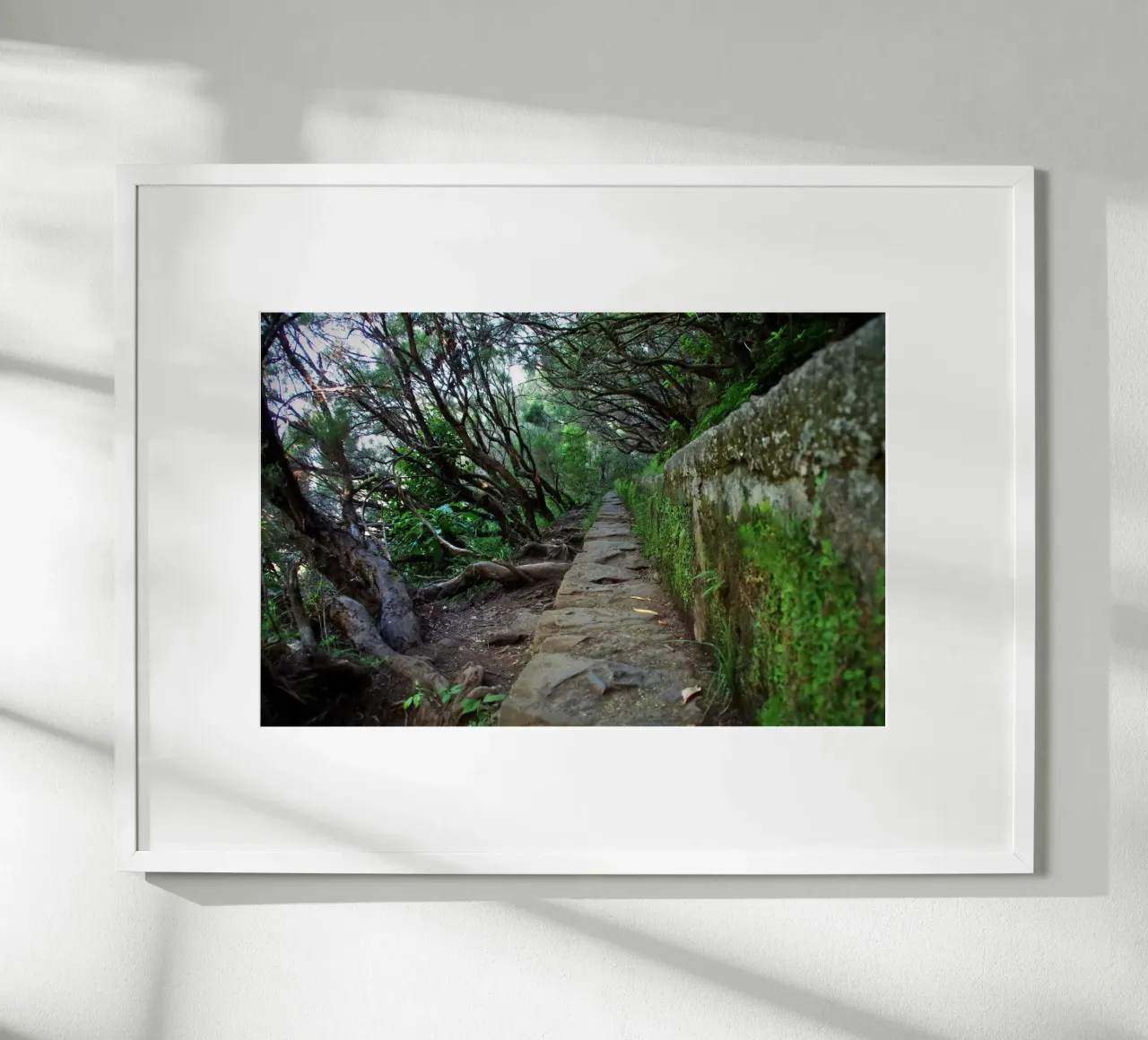 The Ancient Path poster da zenitt