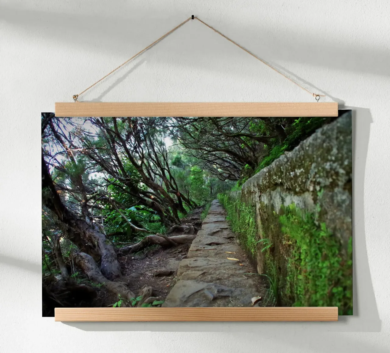 The Ancient Path poster da zenitt
