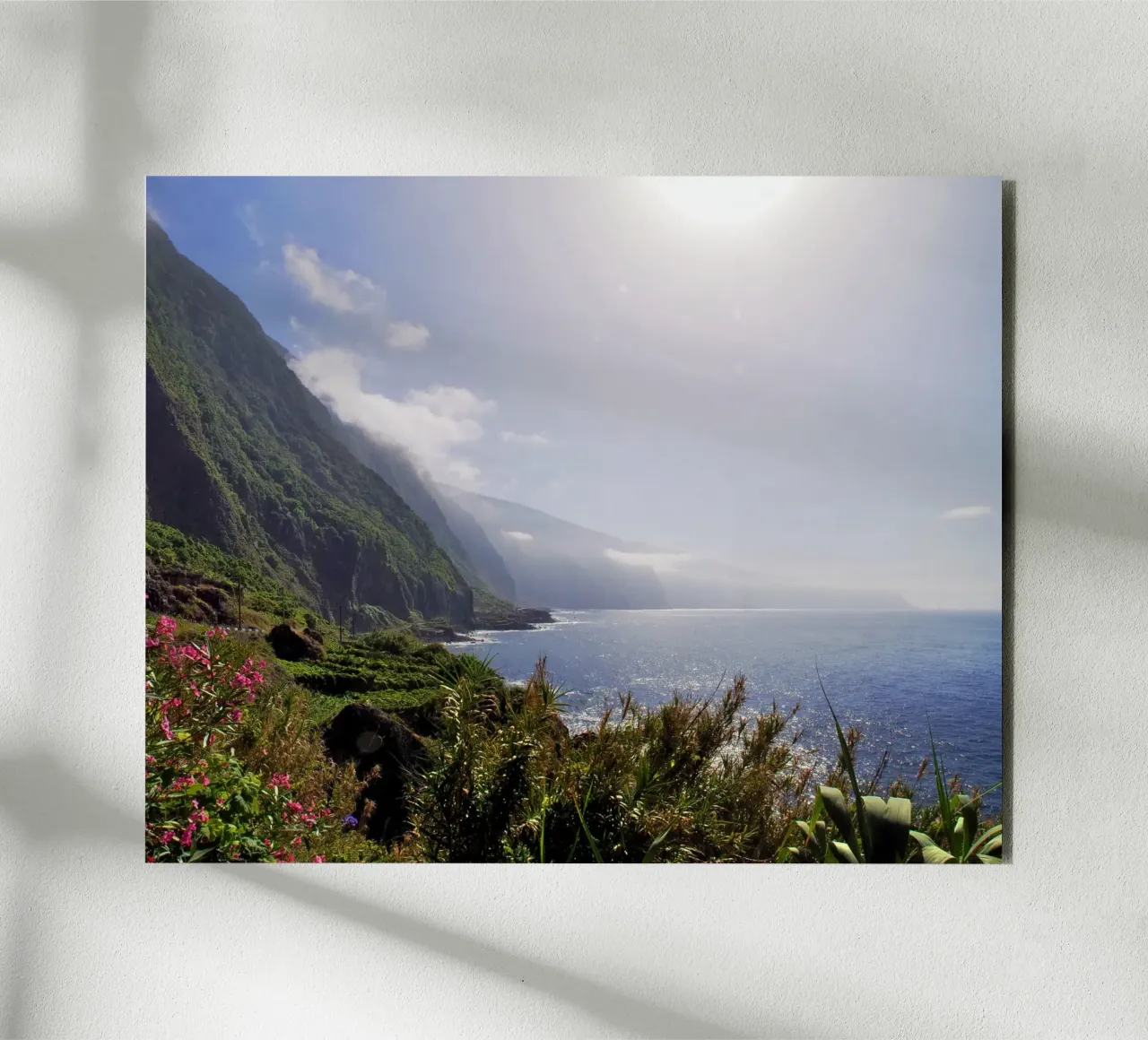 Garden of the Atlantic alluminio dibond da zenitt