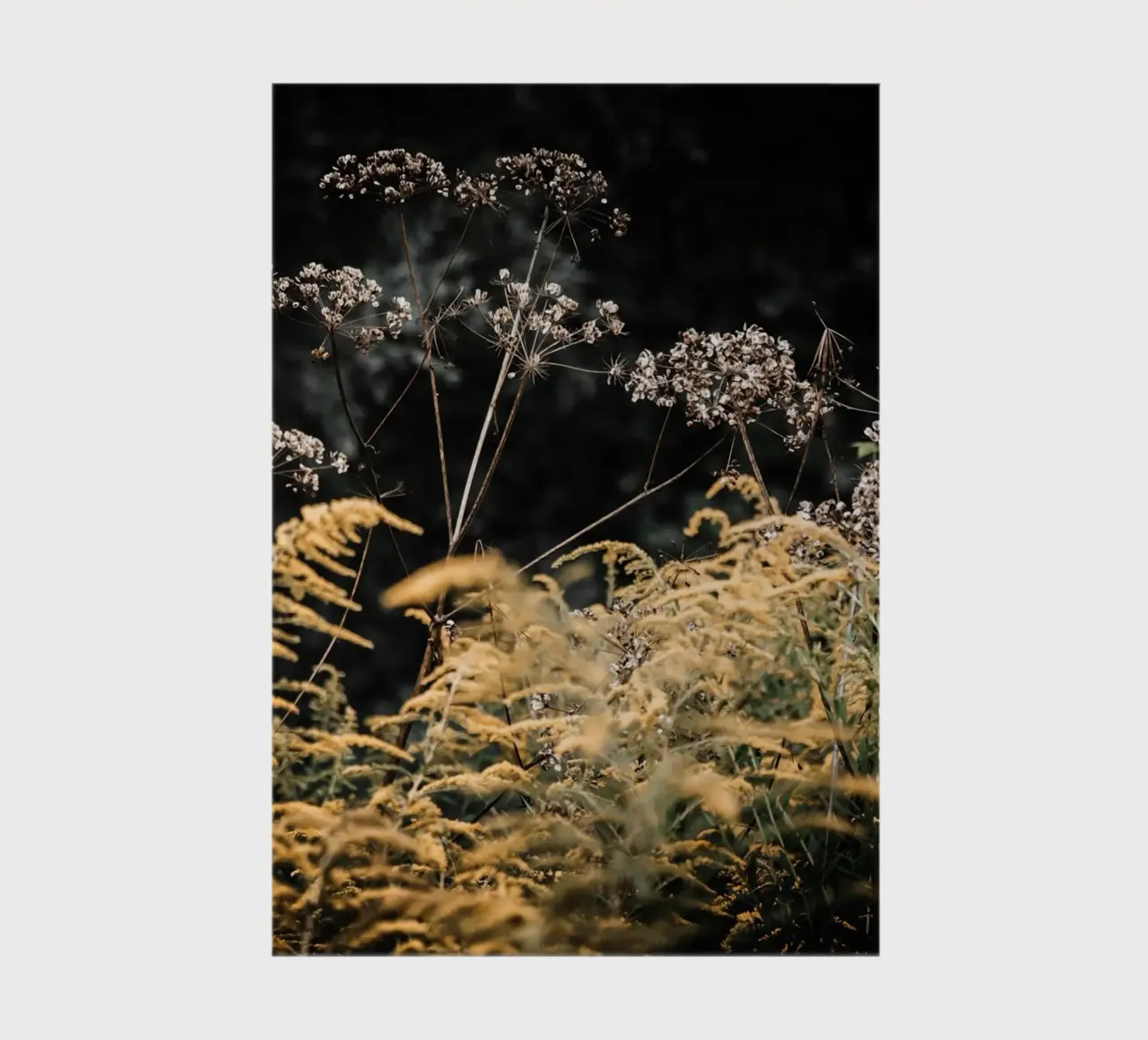 The Gold of Passing notebook by Justyna Jaszke JBJart