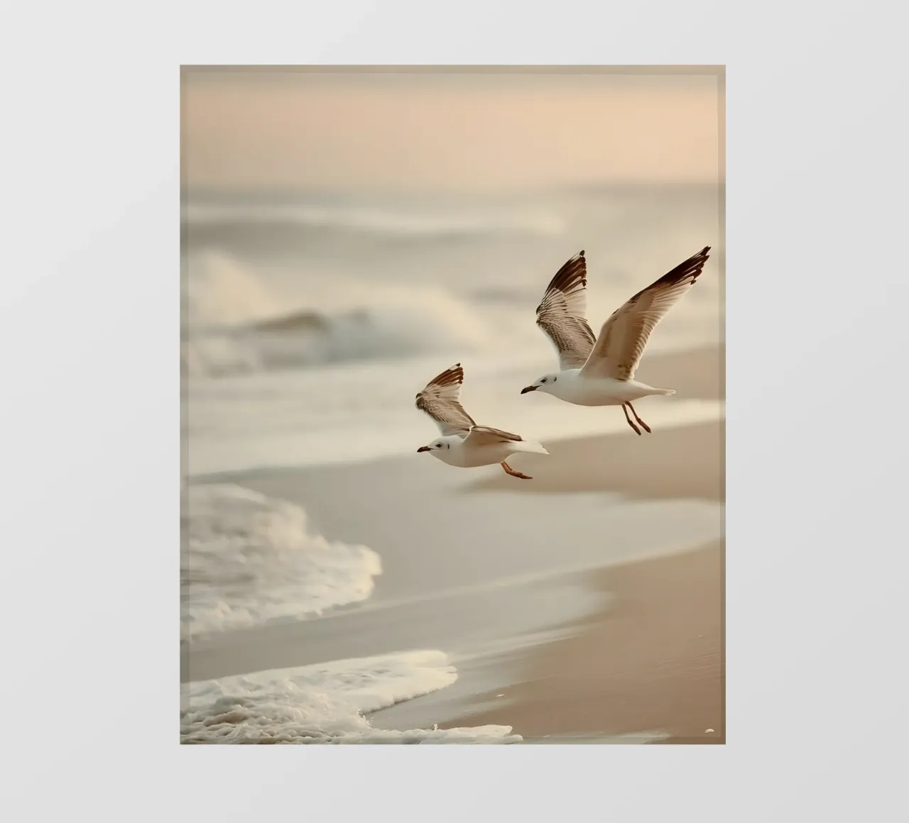 Gaviotas en la costa lonas publicitarias de luxi&lace