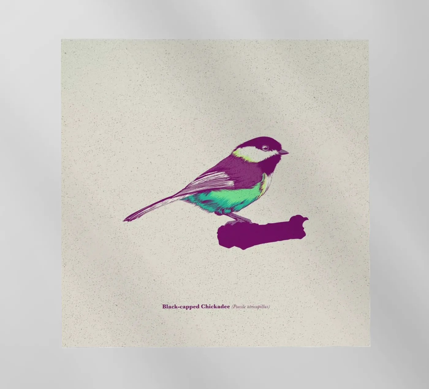 Bird 03 pellicola backlit da Cranio Dsgn