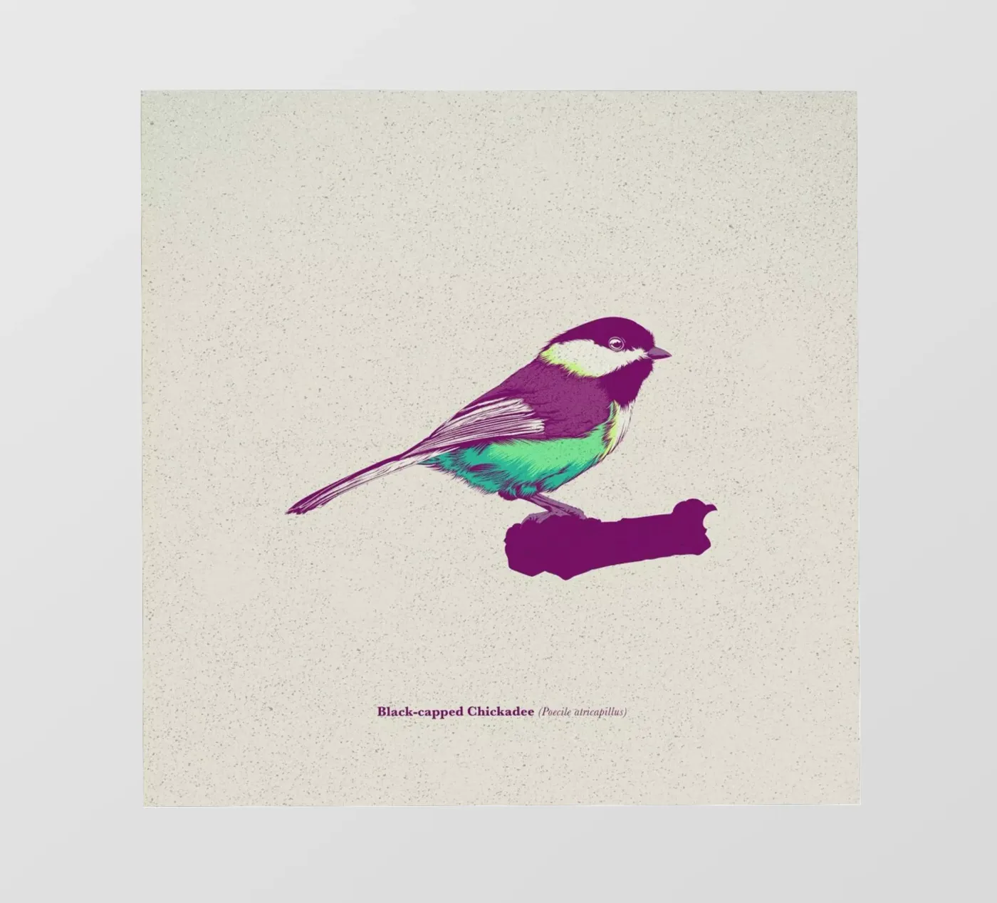 Bird 03 pellicola backlit da Cranio Dsgn
