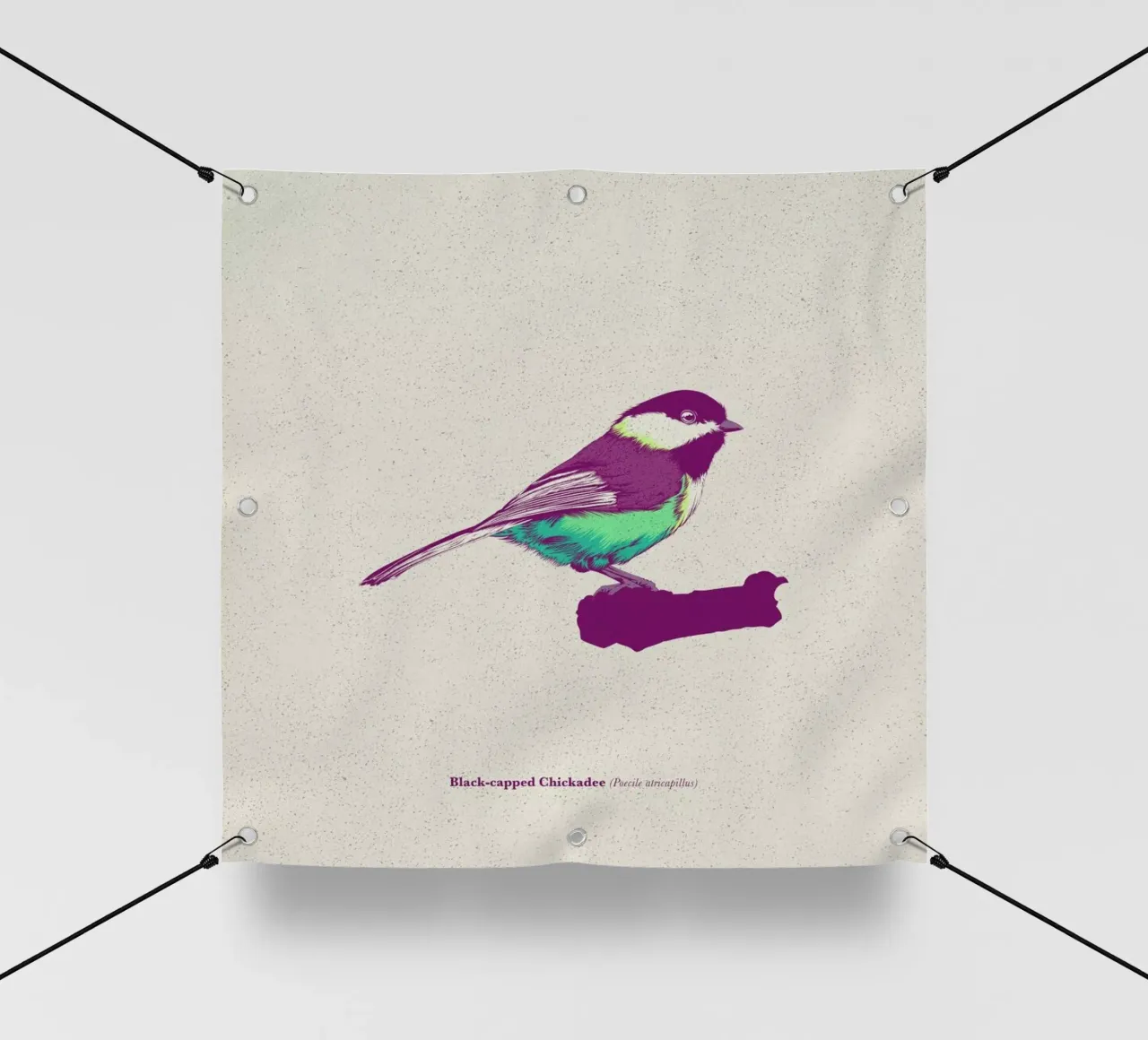 Bird 03 telo in pvc da Cranio Dsgn