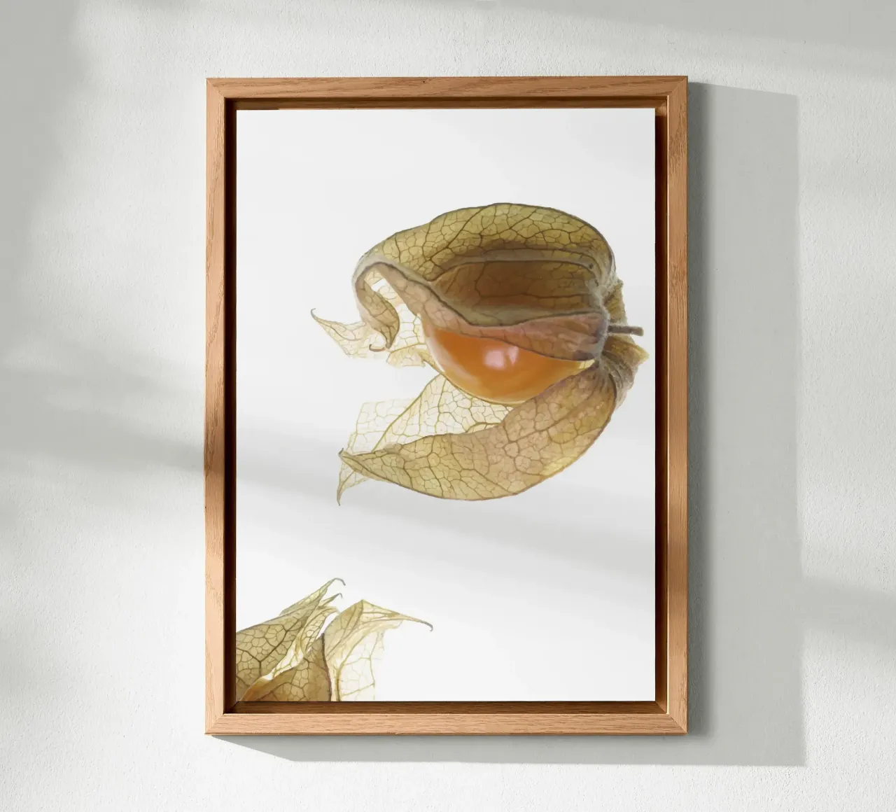Physalis Gossip 4927 alluminio dibond da DesignDoula Grafik