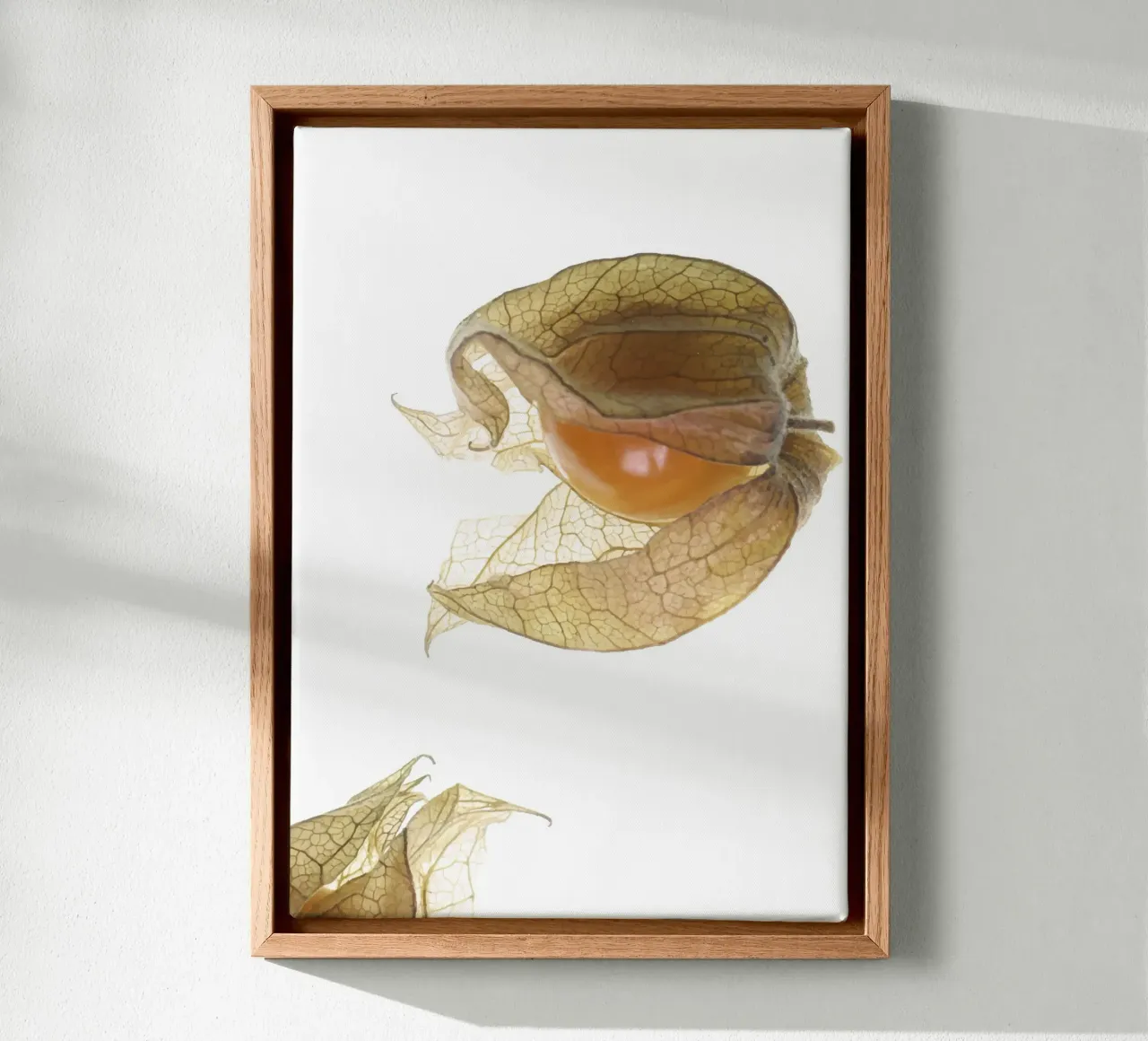 Physalis Gossip 4927 canvas met Baklijst van DesignDoula Grafik