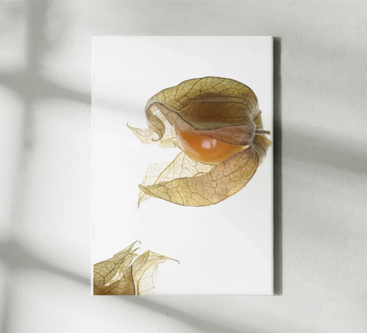 Physalis Gossip 4927 canvas met Baklijst van DesignDoula Grafik