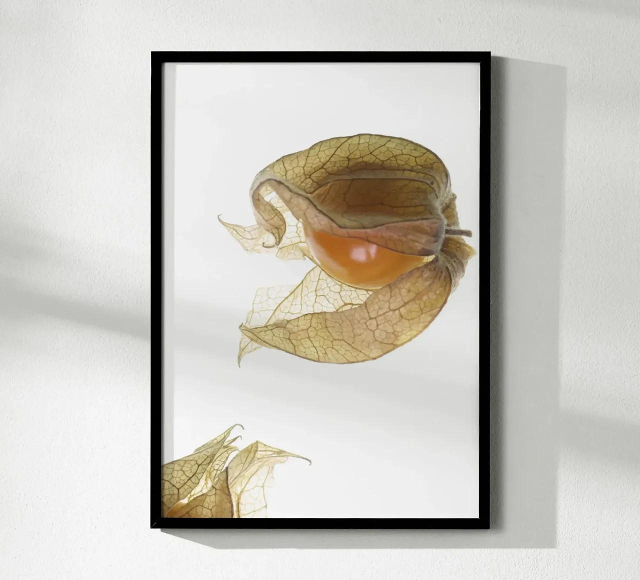 Physalis Gossip 4927 carta hahnemühle da DesignDoula Grafik