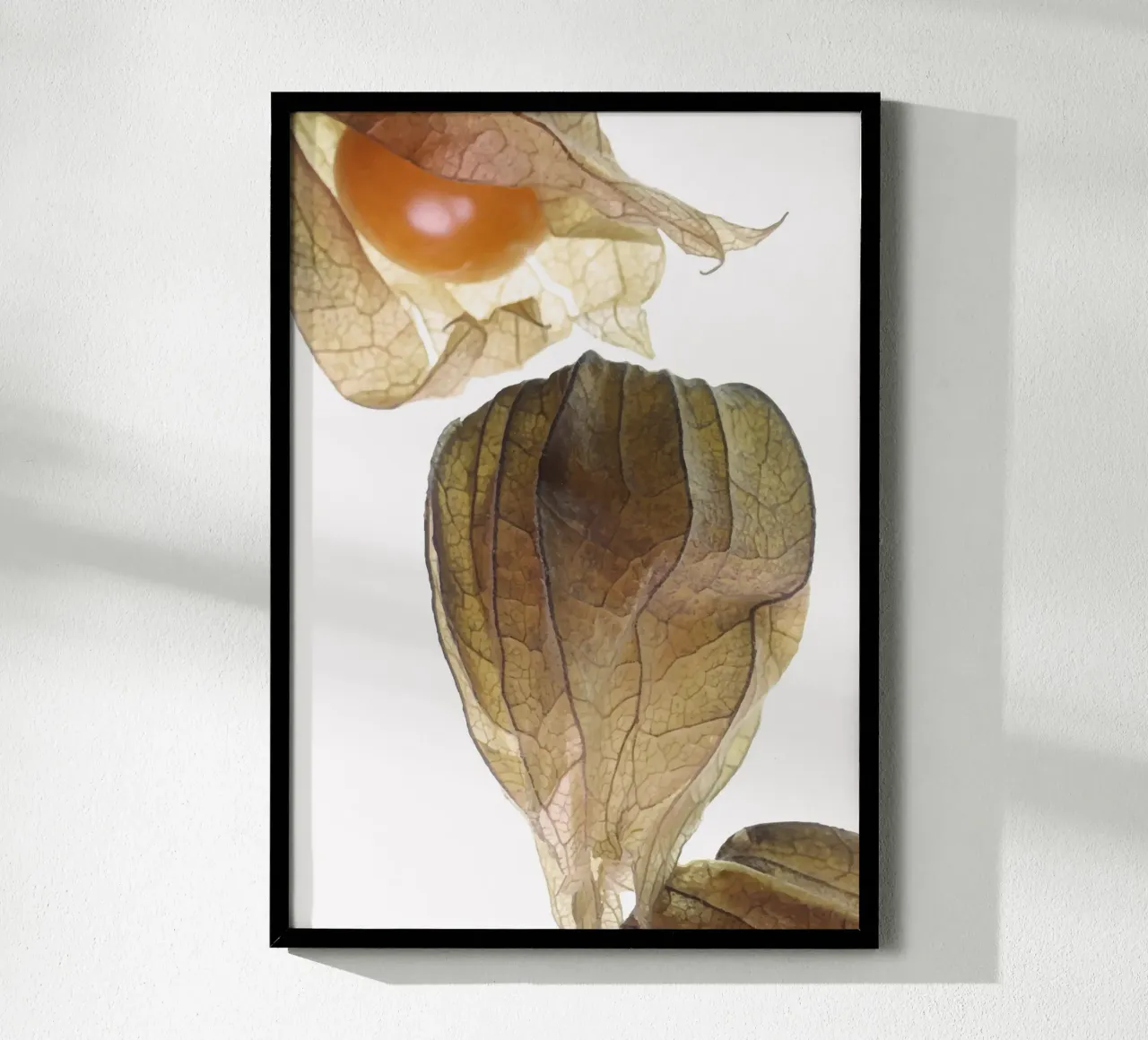 Physalis Gossip 4945 carta hahnemühle da DesignDoula Grafik