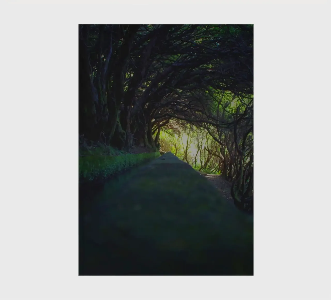 Into the Light notebook by zenitt