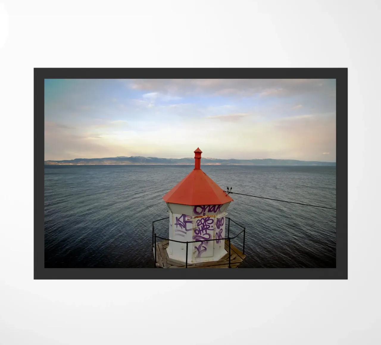 The Tagged Beacon zerbino da zenitt