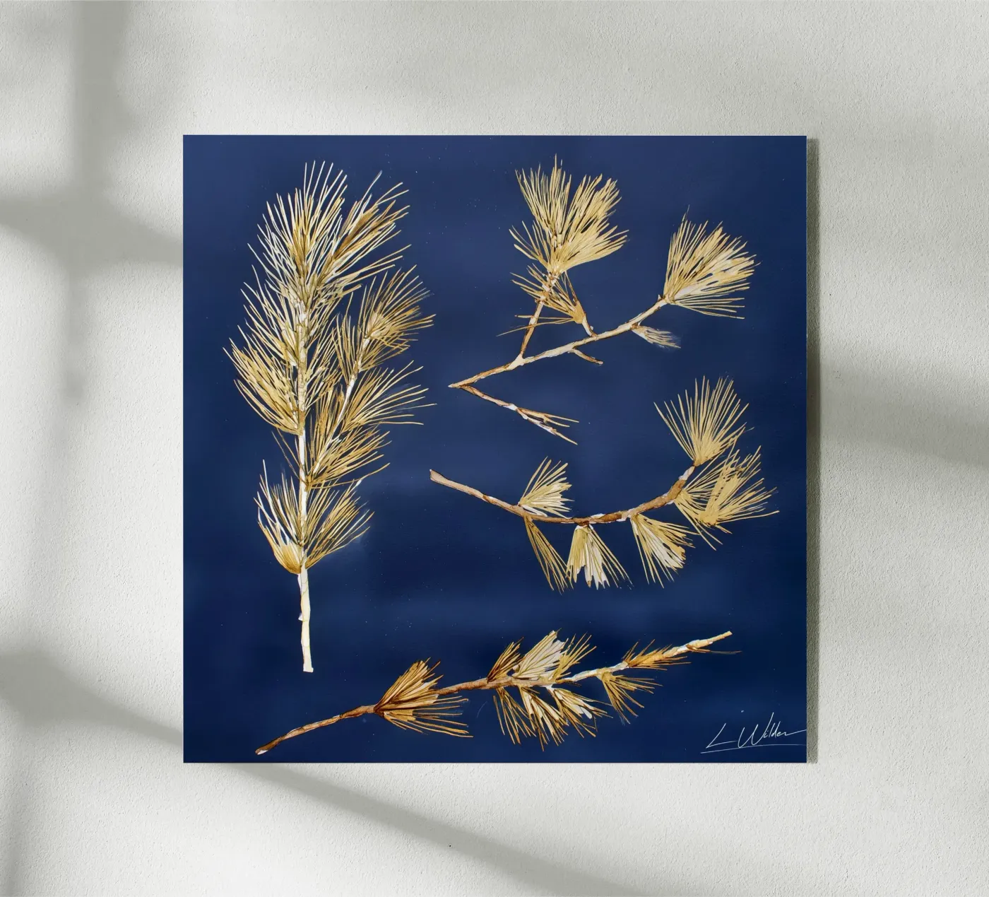 Fallen Forms Acryl-Glas von Louise Wilder Studio