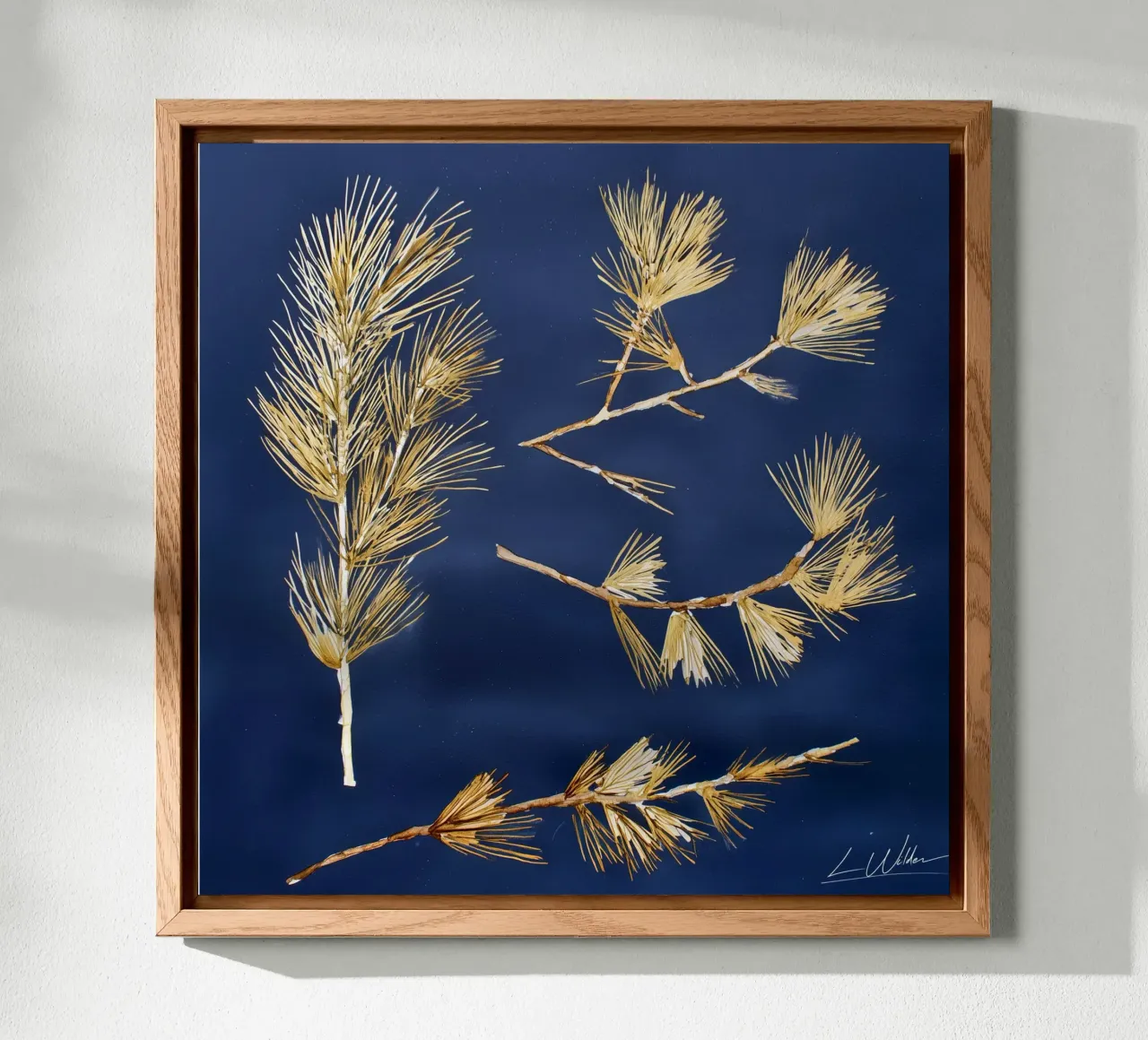 Fallen Forms forex plate by Louise Wilder Studio