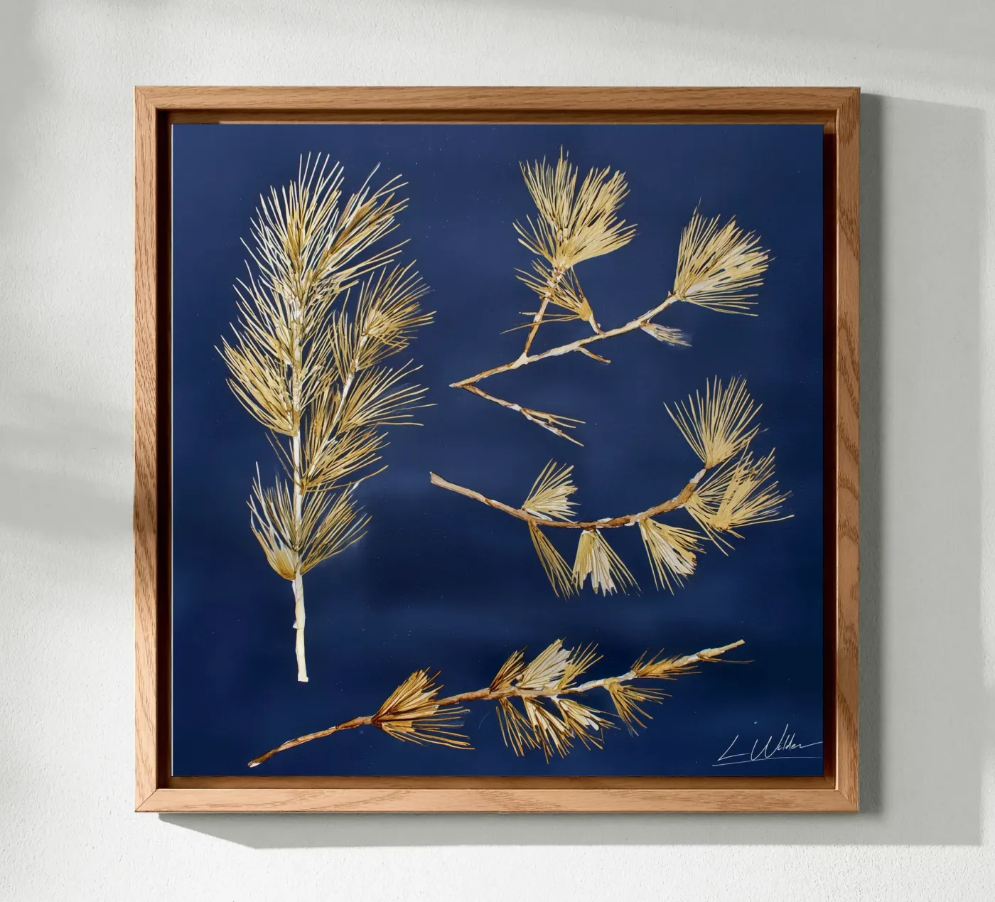 Forme cadute alluminio dibond da Louise Wilder Studio