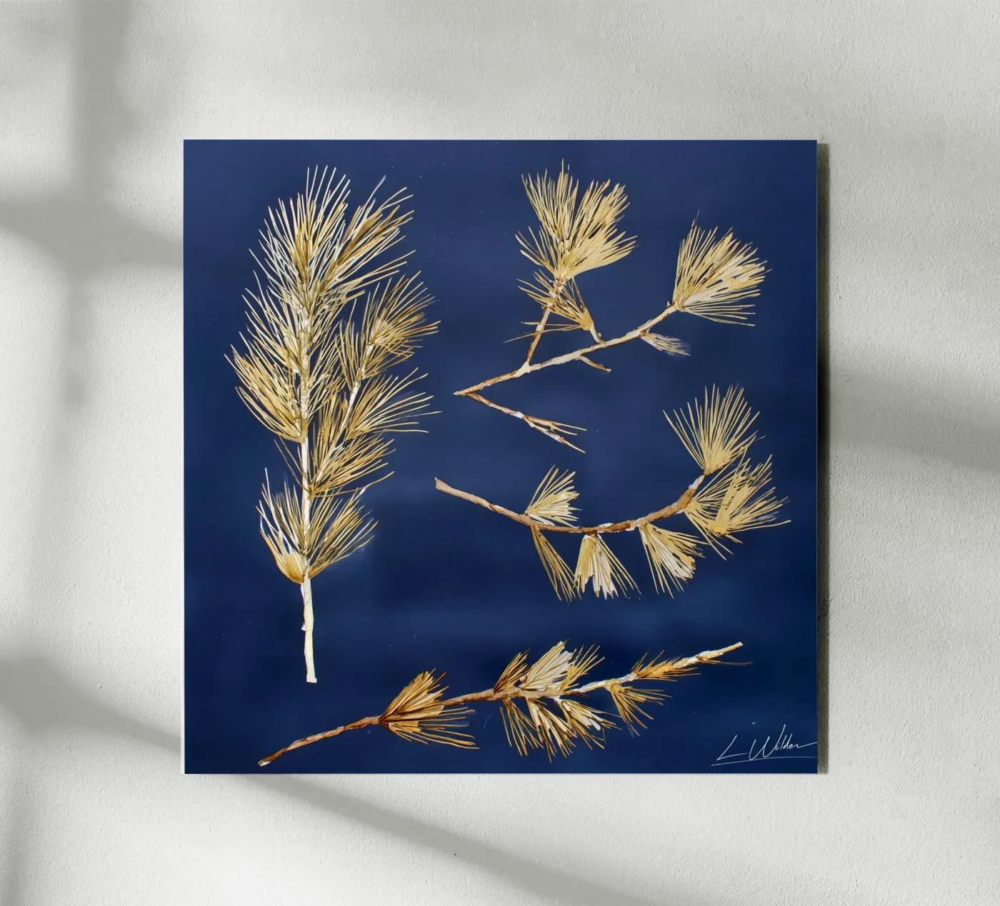 Forme cadute alluminio dibond da Louise Wilder Studio