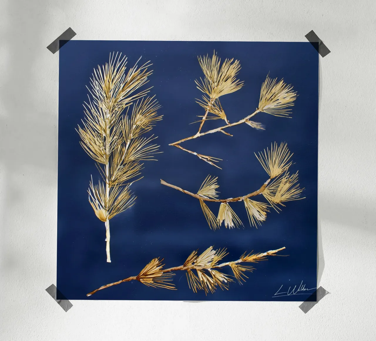 Fallen Forms Poster von Louise Wilder Studio