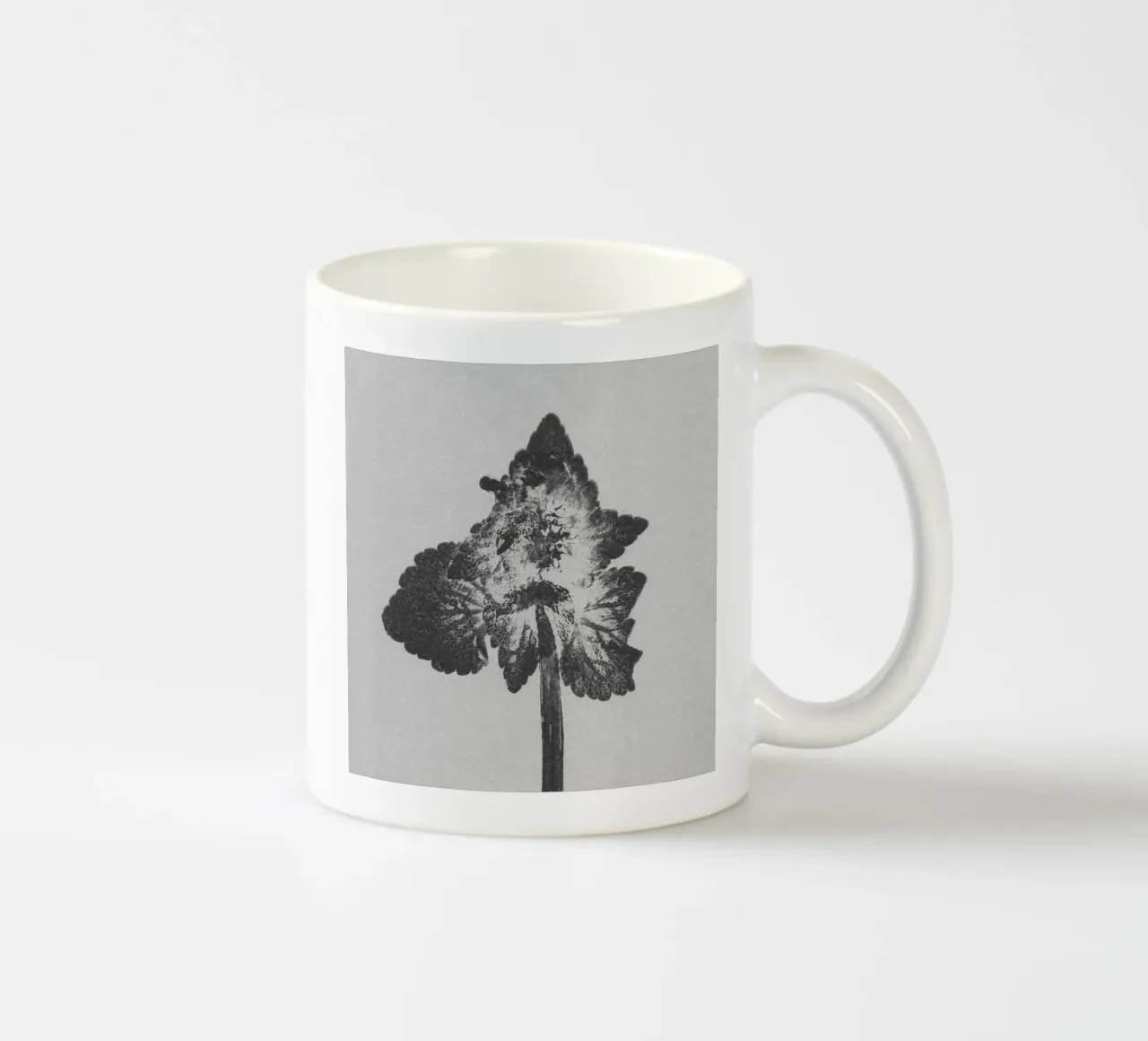 Impressioni botaniche | Lamium purpureum v4 tazza in ceramica da Ivona Maris