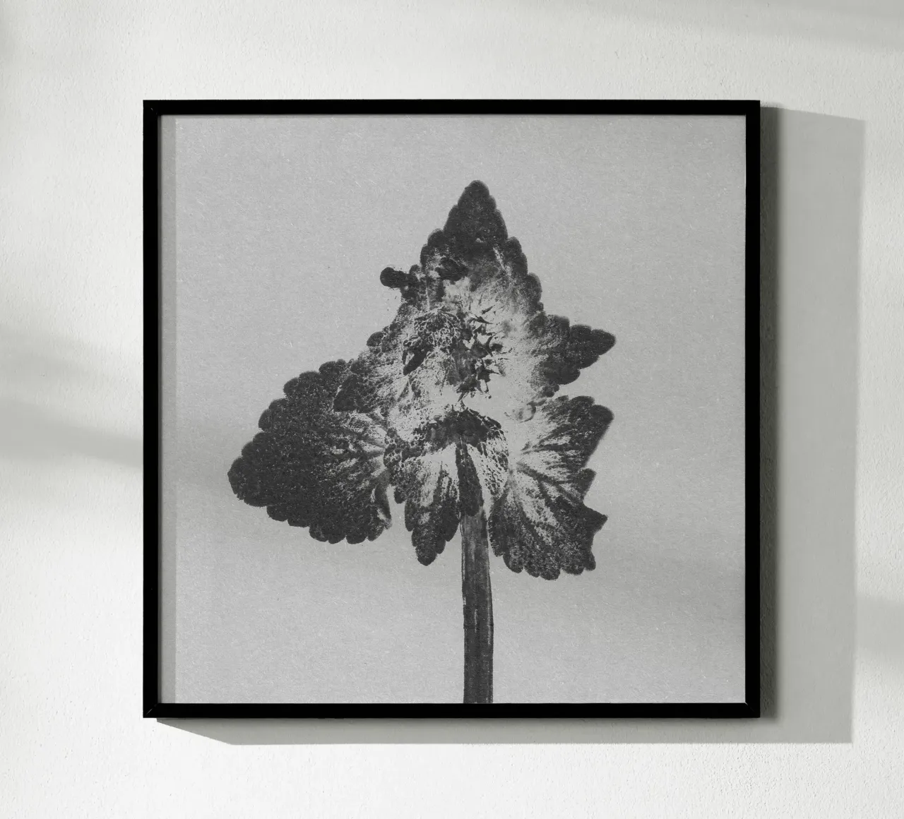 Impressioni botaniche | Lamium purpureum v4 carta hahnemühle da Ivona Maris