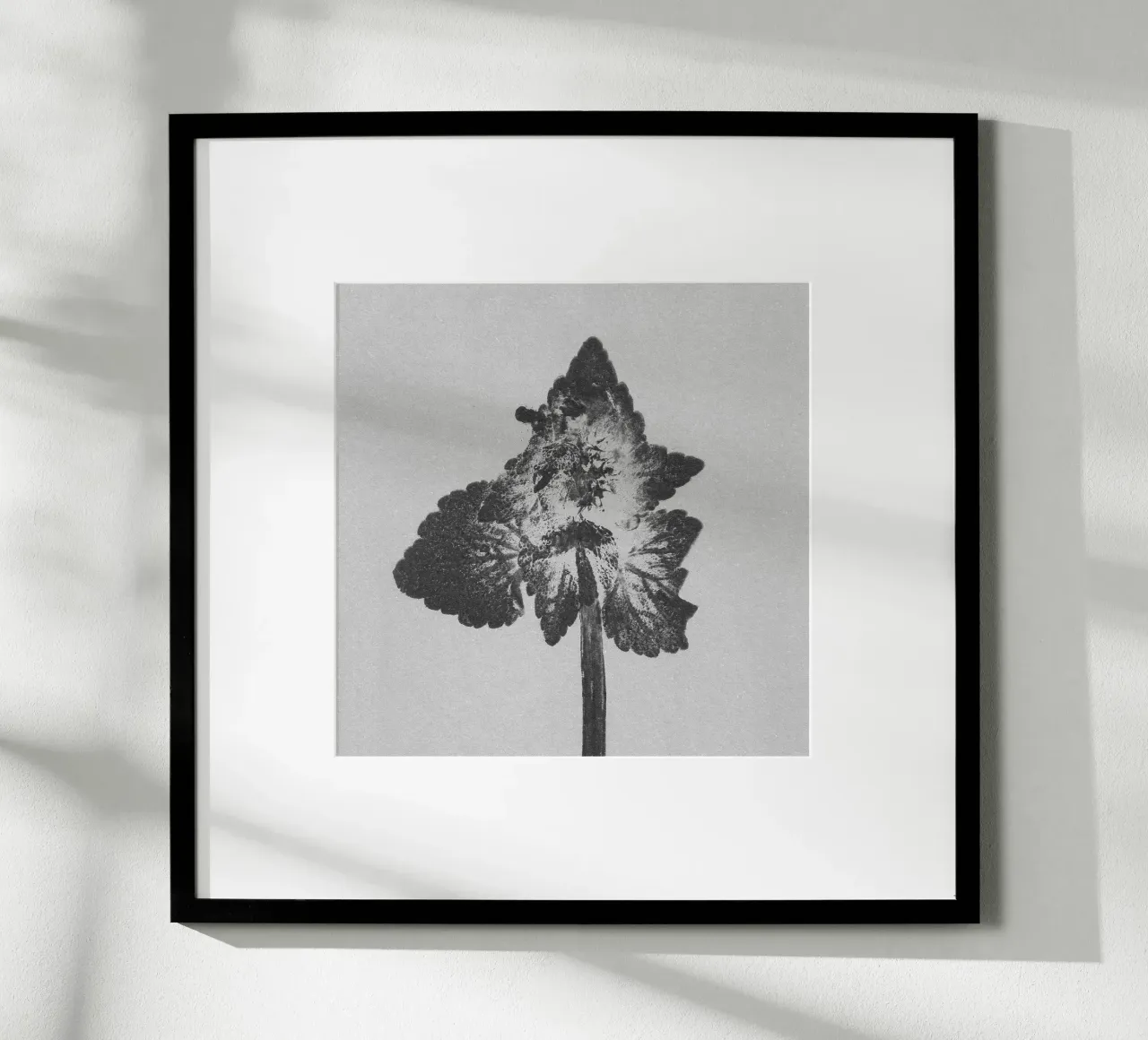 Impressioni botaniche | Lamium purpureum v4 carta hahnemühle da Ivona Maris
