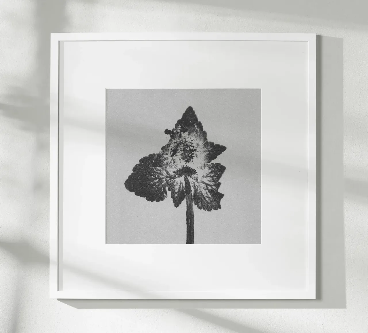 Impressioni botaniche | Lamium purpureum v4 carta hahnemühle da Ivona Maris